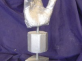 Picture2