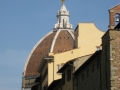IMG-7626
