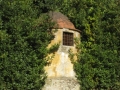 IMG-7644