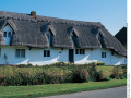 Thatch-roof