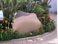 Soft-landscaping-on-the-street