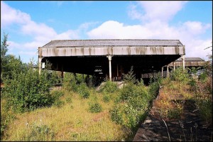 Railway Stockyard 3